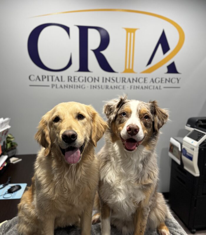 About Our Agency - Business Team from Capital Region Insurance Agency Negotiating in Boardroom behind Closed Glass Doors